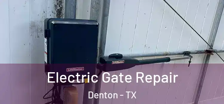  Electric Gate Repair Denton - TX